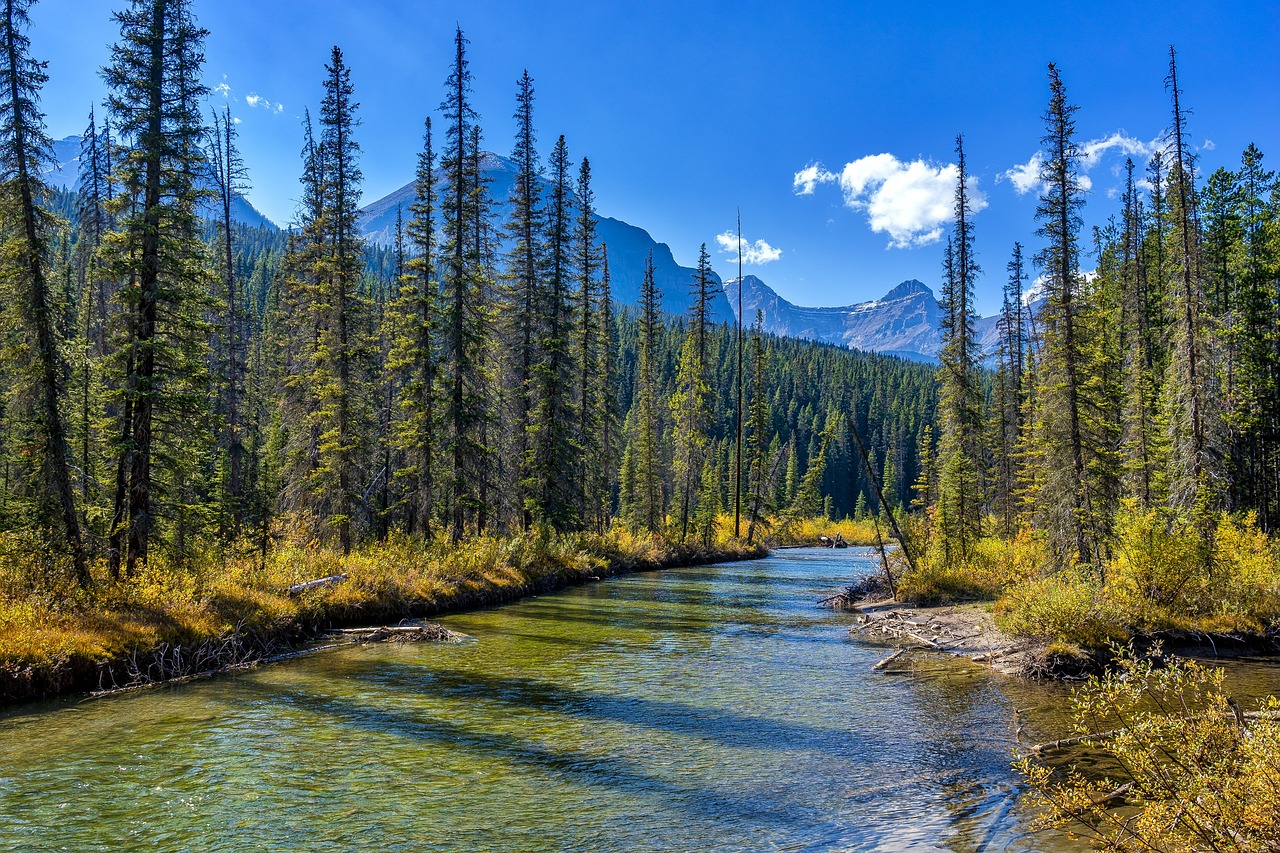 Hiking the Rugged Trails of Rocky Mountain National Park